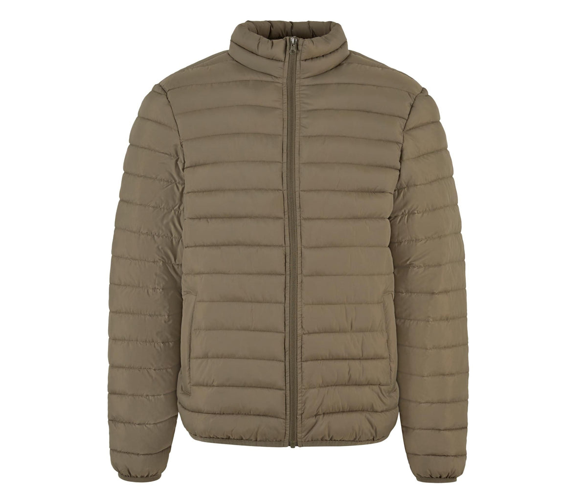 NM031 Olive